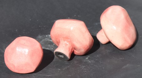 Patères stage de  raku