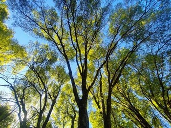 Profitez de ce stage de poterie pour découvrir la Provence Verte