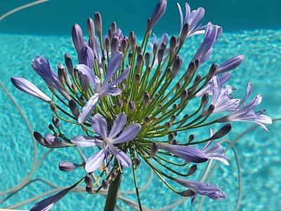 Stage de poterie avec accès piscine